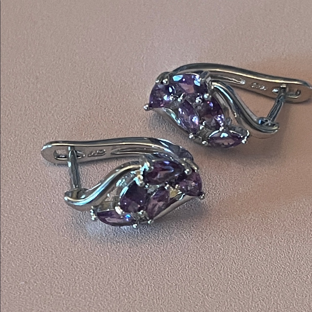 Silver And Purple Earrings